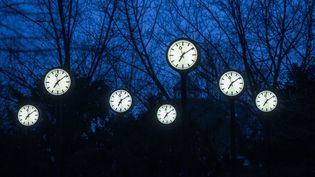Une installation artistique de Klaus Rinke&nbsp;mettant en scène des horloges, à Düsseldorf, en Allemagne, le 28 mars 2021. (INA FASSBENDER / AFP)